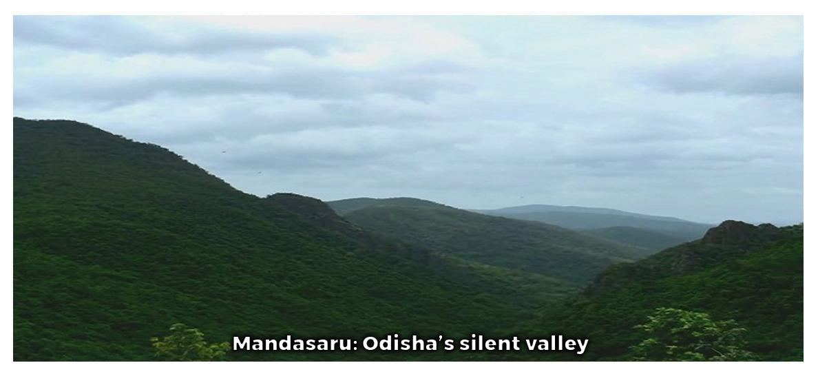 Mandasaru- Odisha's Silent Vally