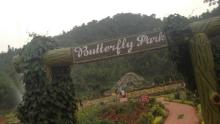 Butterfly Park